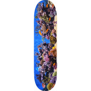 Mini Logo Skateboard Deck