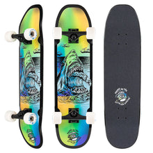 Load image into Gallery viewer, Sector 9 Mason Pro Danger Skateboard Complete
