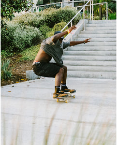 Vans Zahba Zion Wright Brown/Multi